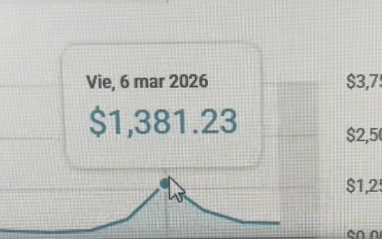 $1,381 en un día
